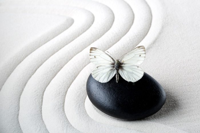Here are simple things to do now to help you care for yourself and overcome the impact of your loved one's substance abuse. zen raked white sand with stone and butterfly white